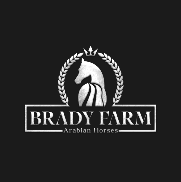 Brady Farm Arabian Horses Logo