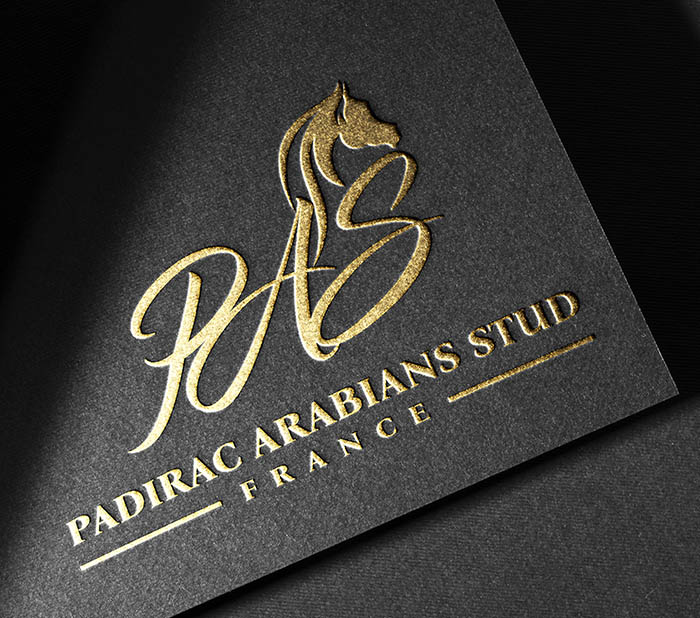 Gold embossed logo design for Padirac Arabians Stud, featuring a horse silhouette and elegant typography.