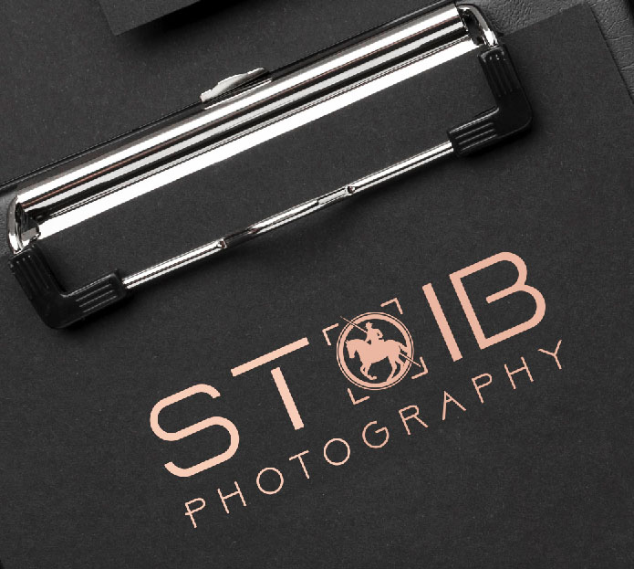 Elegant equine photography logo design featuring minimalist typography and a horse icon in a camera focus frame for Stoib Photography.