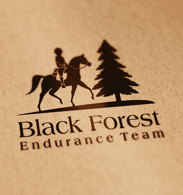 Elegant logo designs for Black Forest Endurance Team featuring a horse and rider silhouette with a tree emblem in gold, black, and white variations.