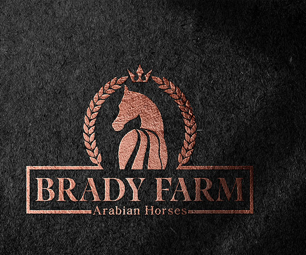 Bronze-foiled logo for Brady Farm featuring a crowned horse silhouette and laurel wreath on textured paper.